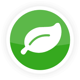 Environment Friendly Icon