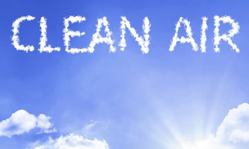 Clean Indoor Air Supported By Eco-friendly Adhesives Used In Comerio Homes