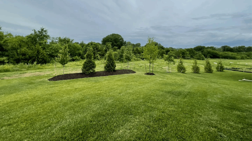 A picture of a land to be developed.