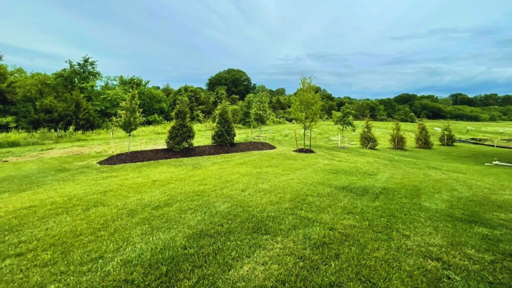 Residential land parcel being evaluated for sale or development with Comerio Homes