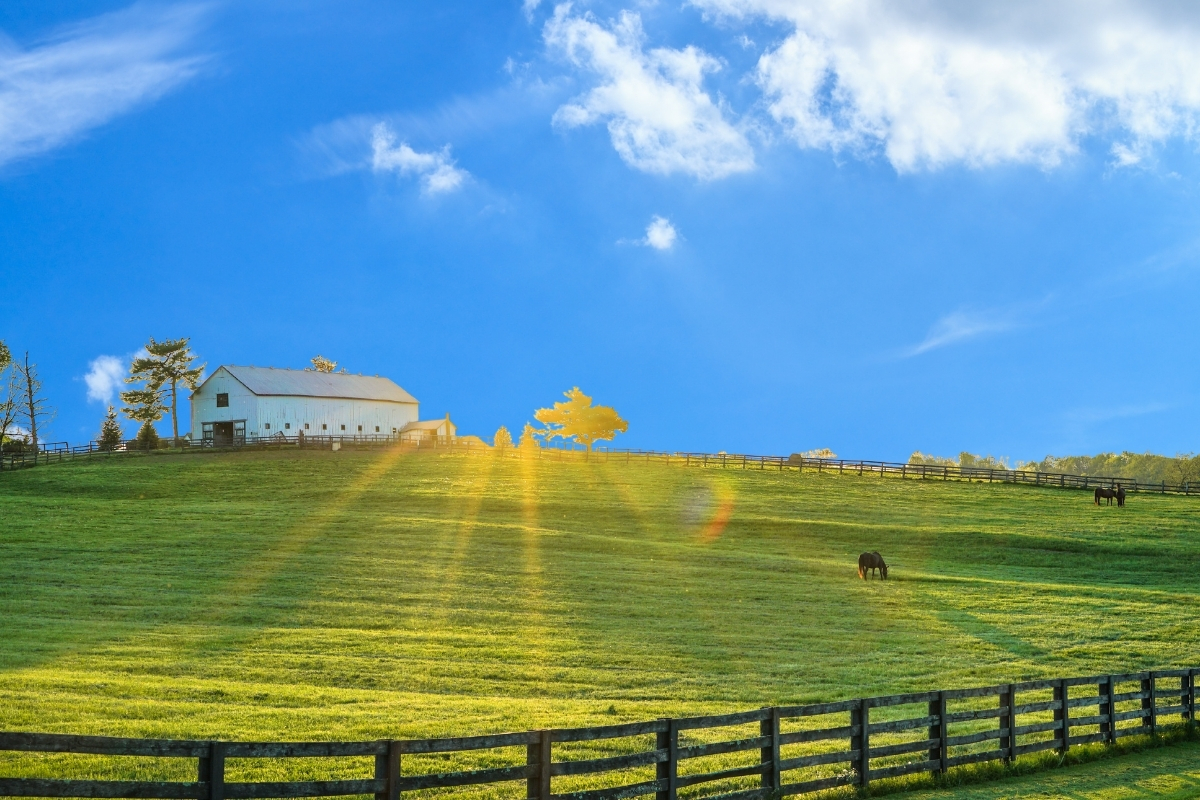 Open Land Suitable For A Build On Your Land Project